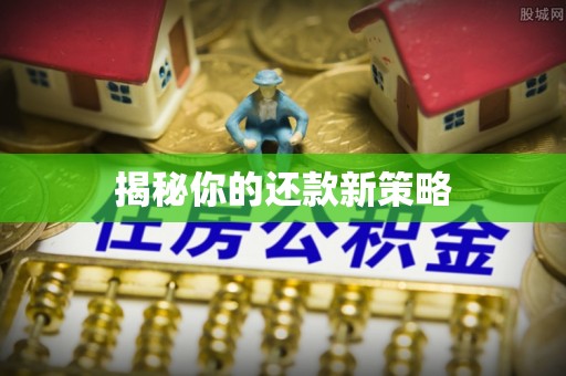 肇庆揭秘你的还款新策略