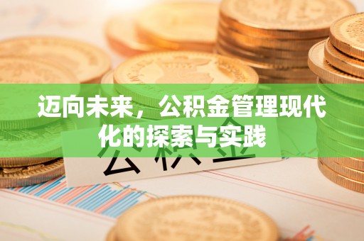 肇庆迈向未来，公积金管理现代化的探索与实践