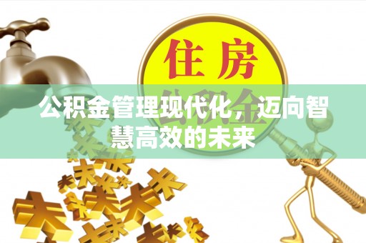 肇庆公积金管理现代化，迈向智慧高效的未来