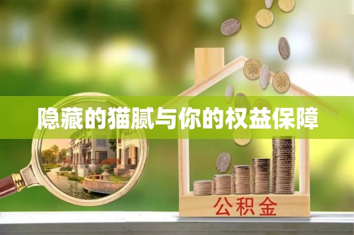 肇庆隐藏的猫腻与你的权益保障